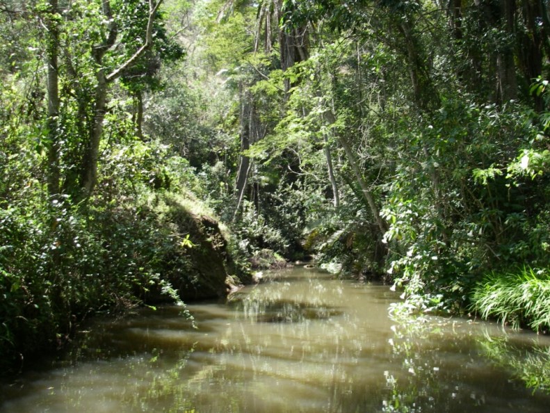 Mount Kenya Climbing Sirimon Route