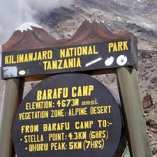 7 Day Kilimanjaro Trekking Shira Route