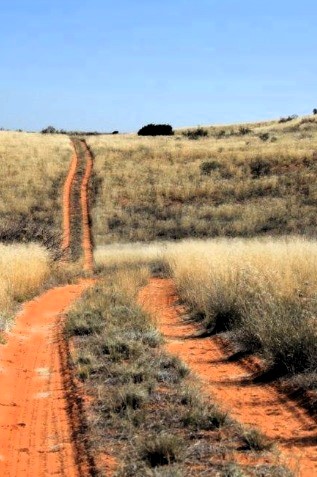 Kgalagadi Transfrontier Park Budget Camping Tour