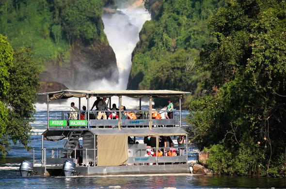 4 Day Murchison Falls , Big 5 & Chimpanzee Trekking