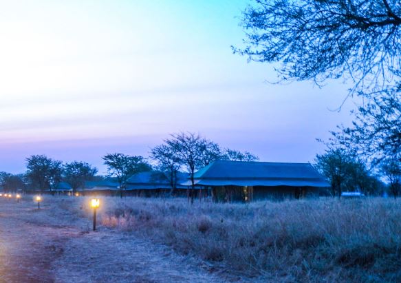 Experience the Big 5 Tanzania Lodge Safari