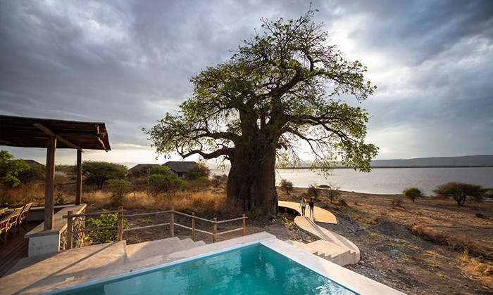 Tanzania's Selous & Ruaha Safaris