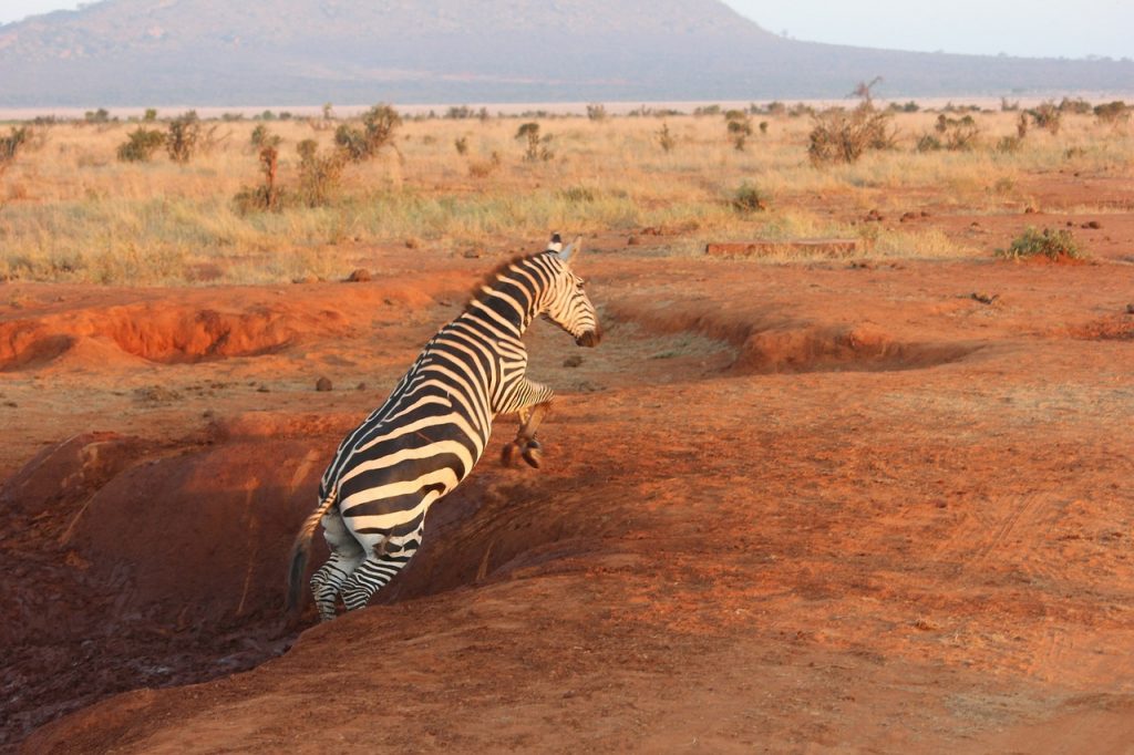 4 Days Amboseli, Tsavo East & Tsavo West Safari