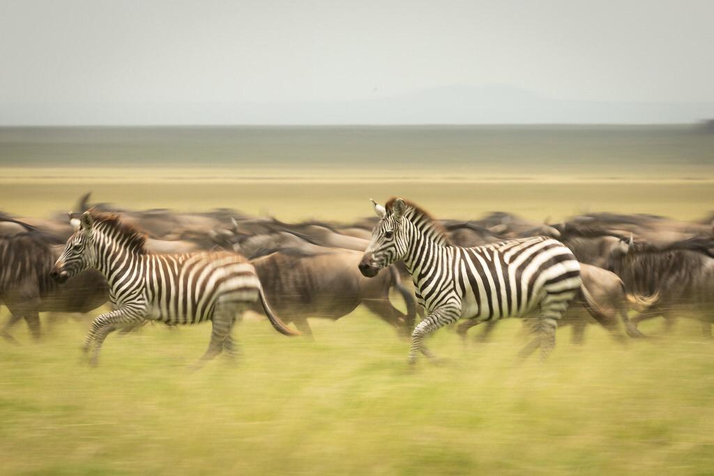 Authentic Northern Tanzania