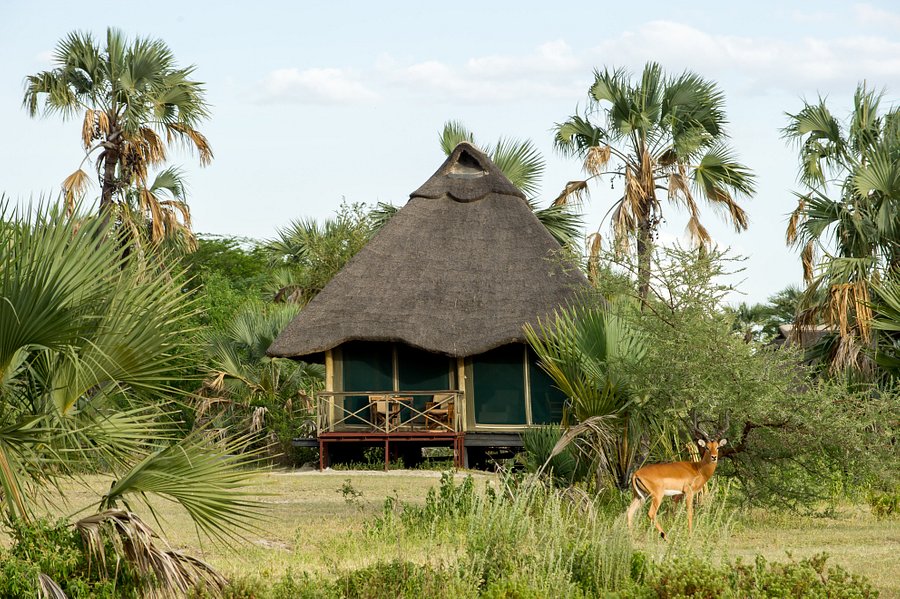 Couples Private Safari