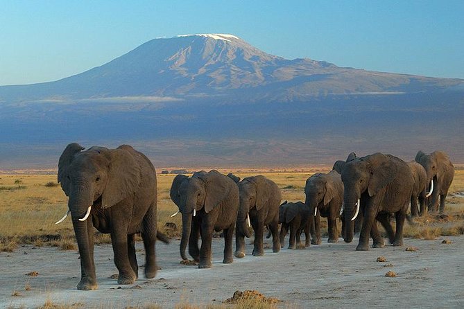 3 Day Kilimanjaro Explore Trail