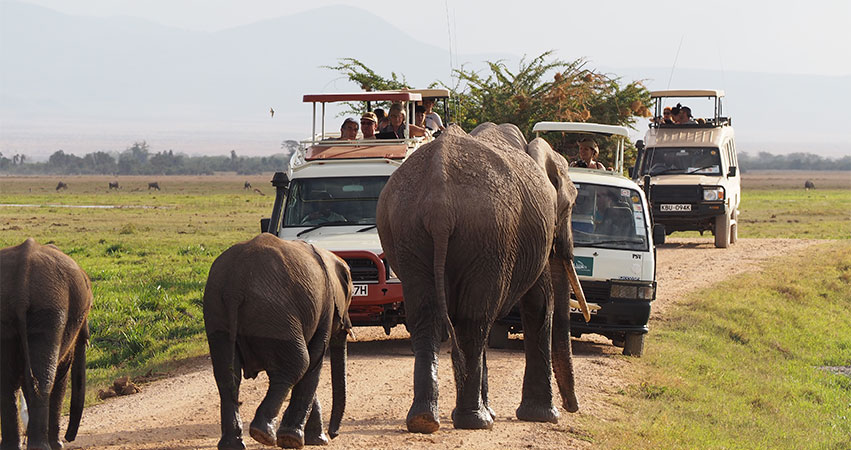 4 Days Maasai Mara & Nakuru Budget Safari