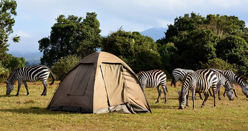 3 Days Tanzania Budget Safari Ngorongoro & Lake Manyara