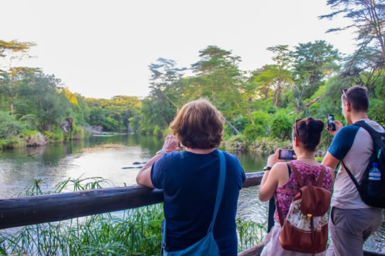 3 Days Tsavo East & Tsavo West Safari