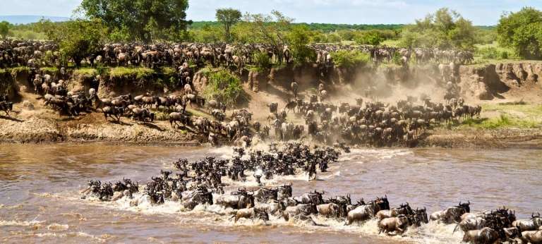 3 Day Masai Mara Lodge Safari Package