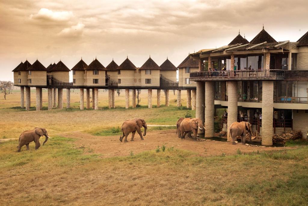 2-Day Tsavo East/Salt Lick Safari Lodge