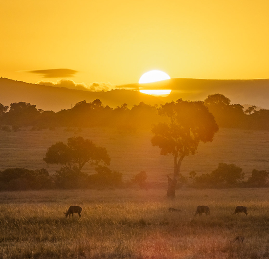 4 Days Maasai Mara Lodge Safari