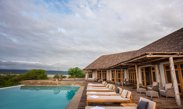 Tanzania Wild Guides & Safaris