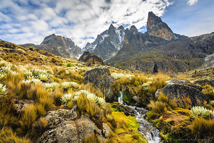 5 Days Mount Kenya Trekking
