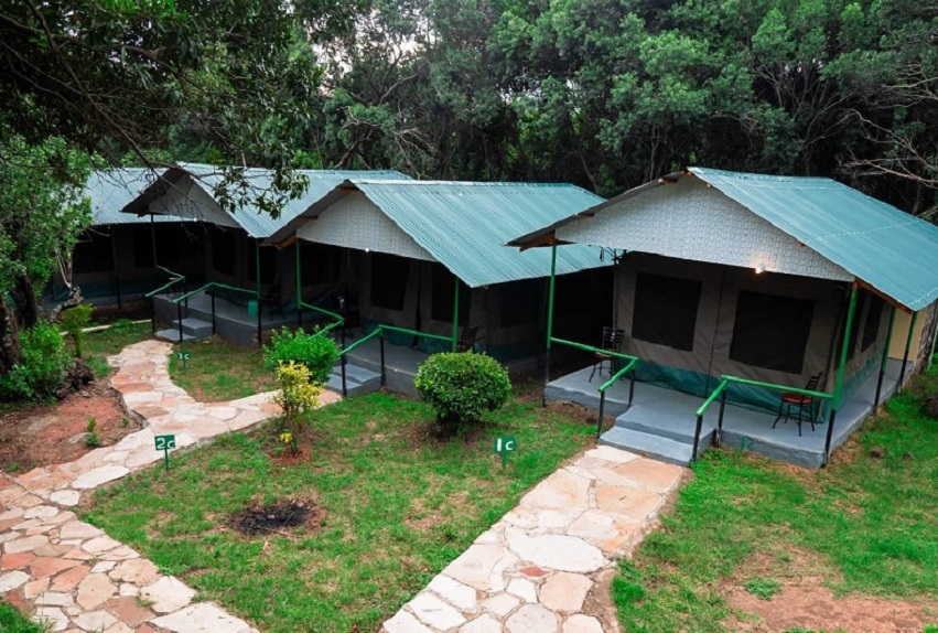 6 Days Budge Safari to Maasai Mara, Lake Nakuru & Amboseli