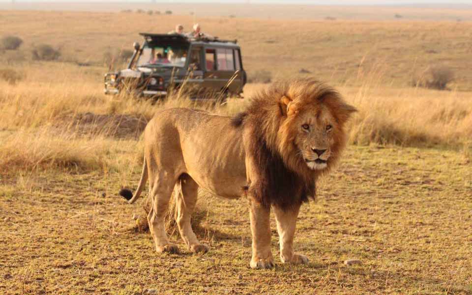 6 Day Great Budget Safari Holiday in Kenya