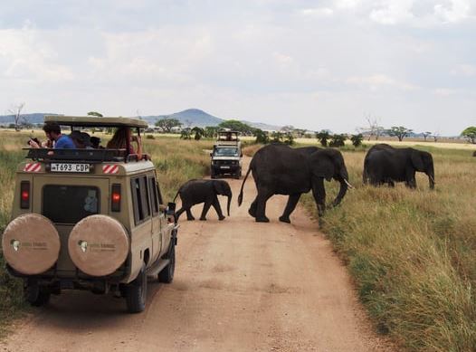7 Days Tanzania Luxury Great Migration Safari