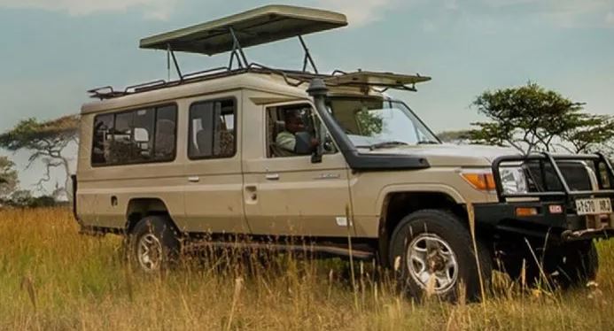 Tarangire Day Trip Safari