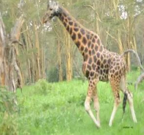 7 Days of Wilderness Adventure