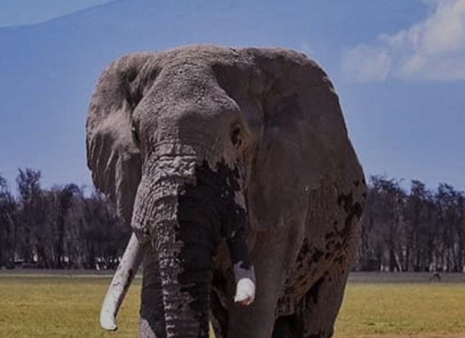 11 Day Scenic Safari in Maasai Mara