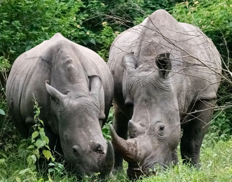 14 Day Small Group Northern Uganda