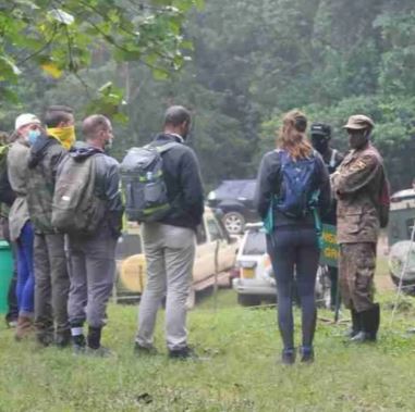 7 Days Chimps, Gorillas & Wildlife Experience
