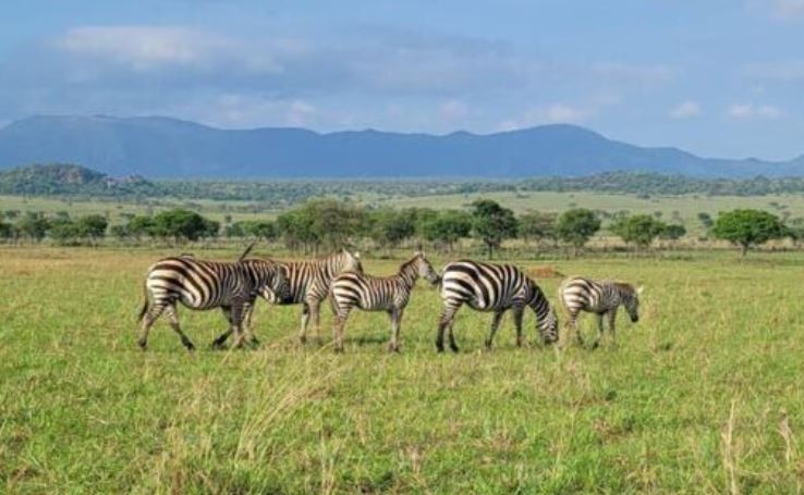8 Day Eastern Uganda Safari