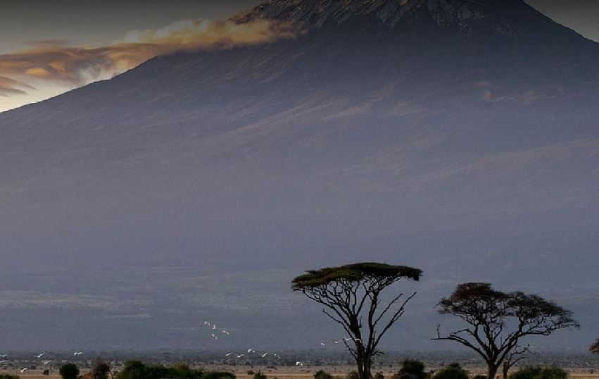 6 Days Adventure Tanzania