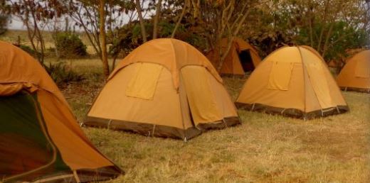 7 Days Lake Manyara, Ngorongoro, Serengeti & Tarangire