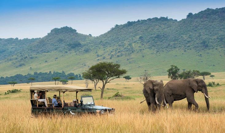 25 Day Best of Uganda Ultimate Bird Watching & Gorilla Trekking Safari