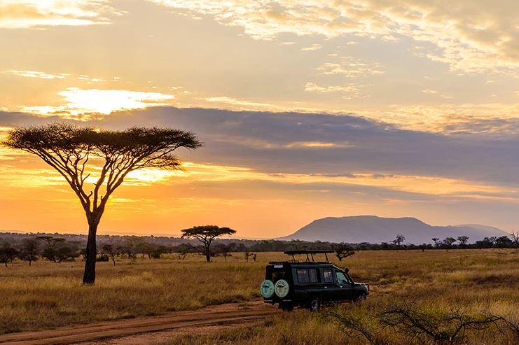 Tanzania Deluxe Safaris