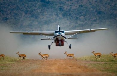 Wings Over Amboseli Safari
