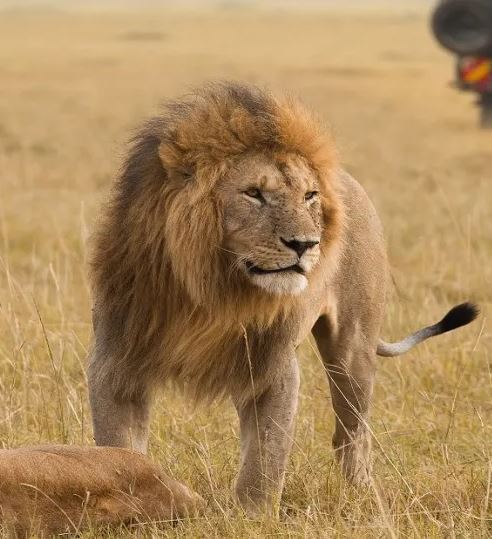 7 Day Unforgettable Kenya Adventure