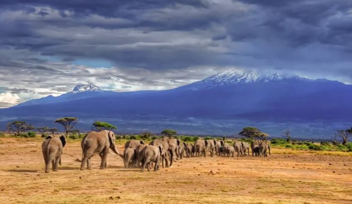 4 Day Budget Camping Safari