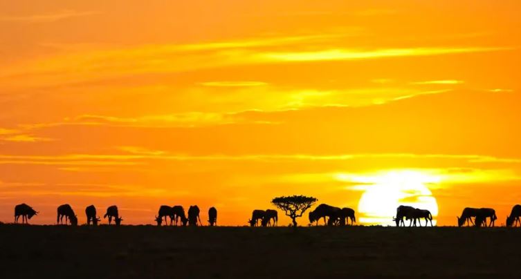 5 Day Mid-Range Safari