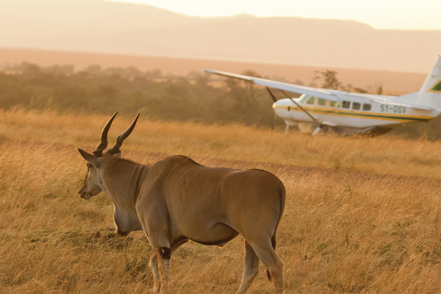 Soul of Kenya: 11-Day Ultra-Luxury Kenya Safari & Beach Escape
