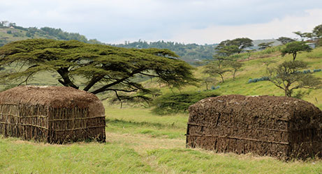 From Gray to Green 1 Day Cultural & Eco Tour