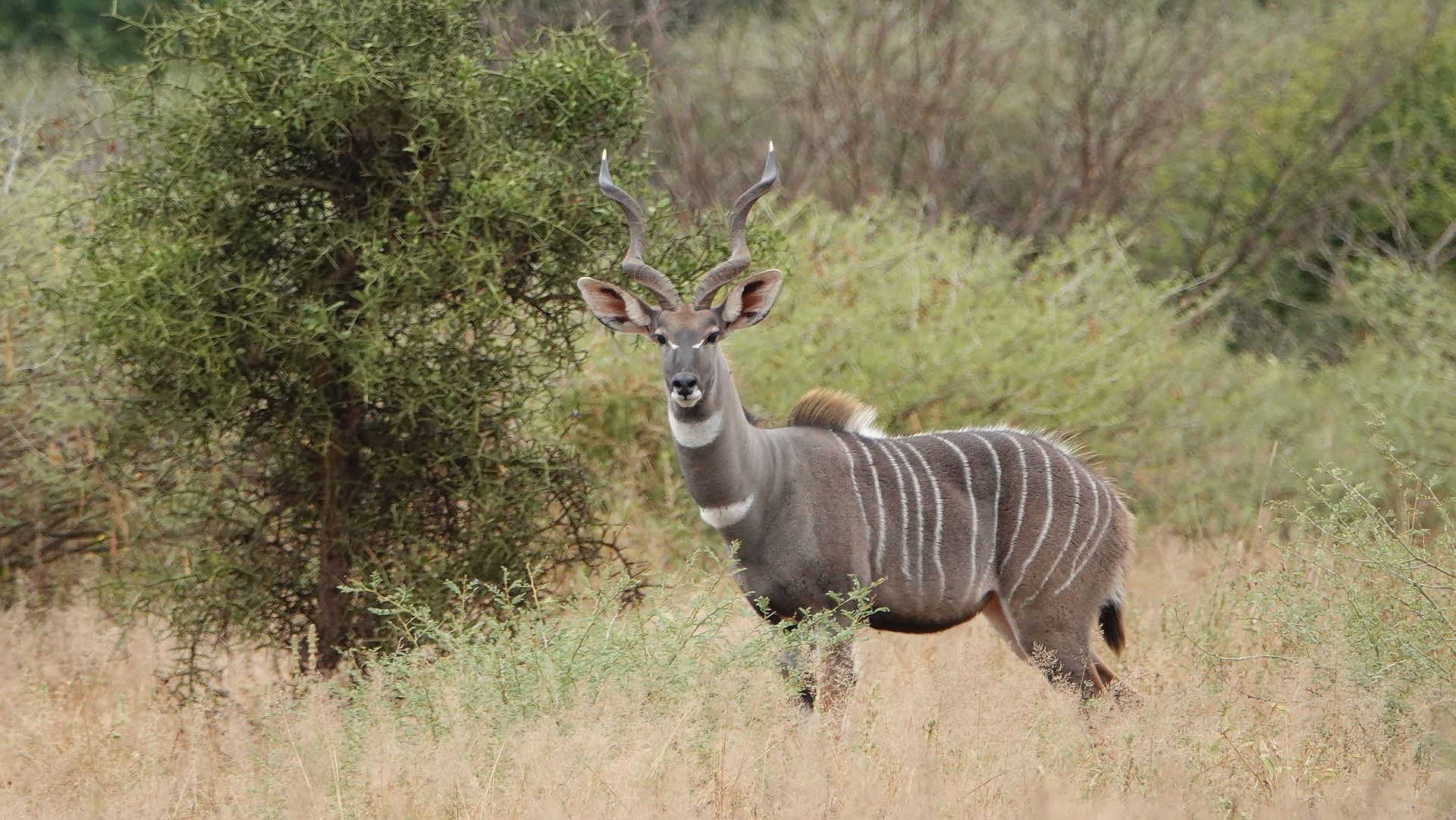 14 Day Kenya & Tanzania Budget Safari Holiday