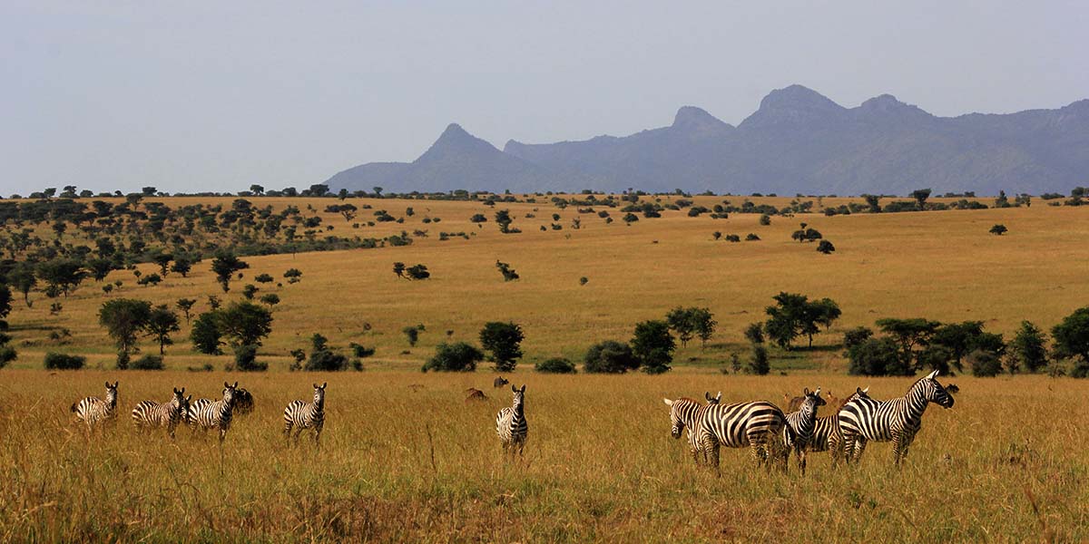 15 Day Wildlife & Adventure Safari