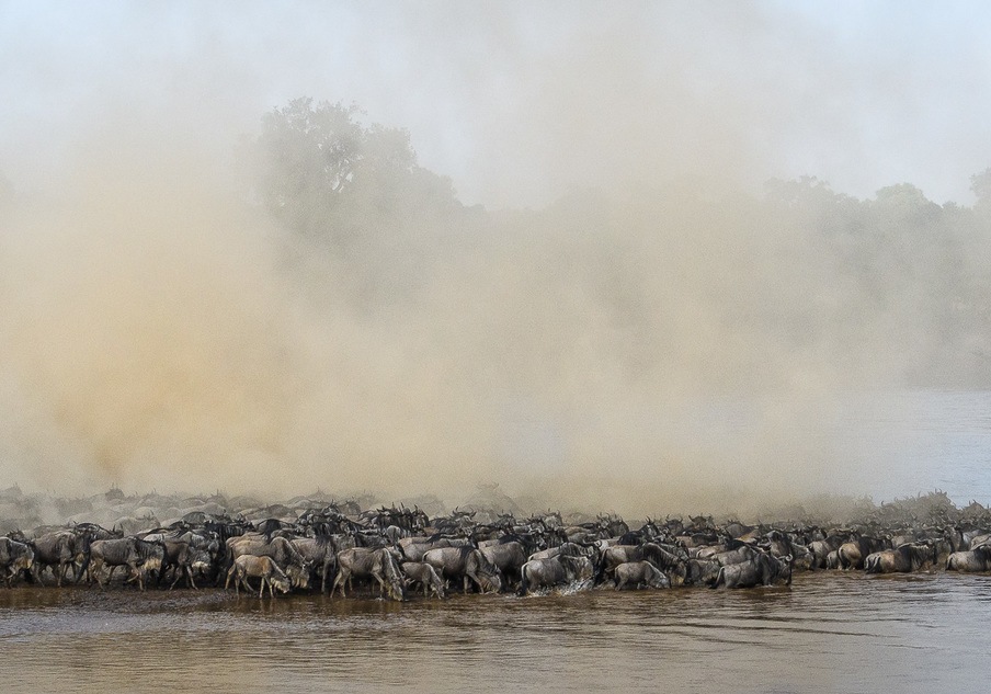 Maasai Mara Migration Safari