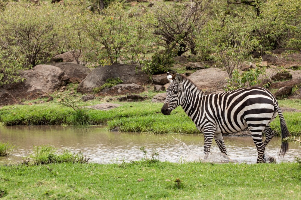 10 Day Magical Kenya Safari