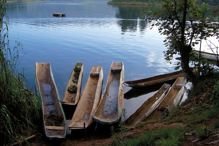 10 Day Uganda Gorilla Tour