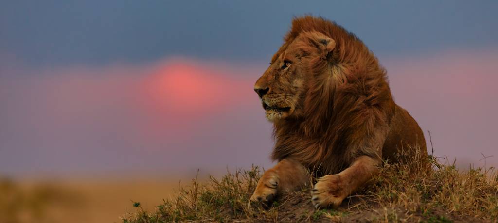 3 Days Maasai Mara Safari