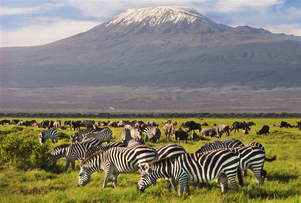 13 Day Magical Safari in Kenya & Tanzania