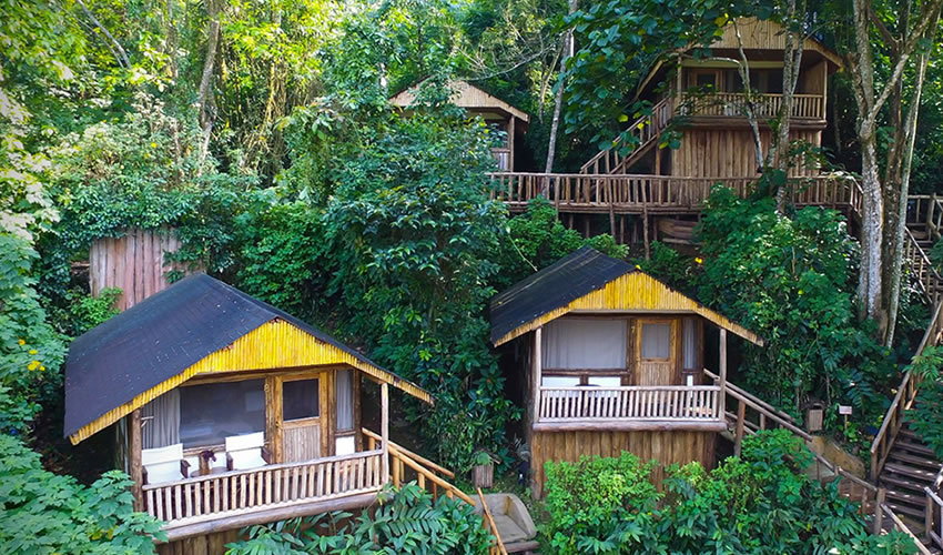 Uganda Honeymoon Safari