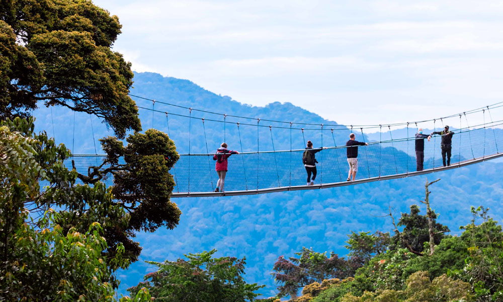 Canopy Walk -  Nyungwe Forest