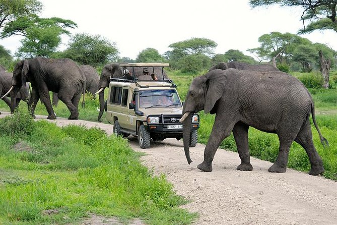 3 Day Taste of Tanzania Safari