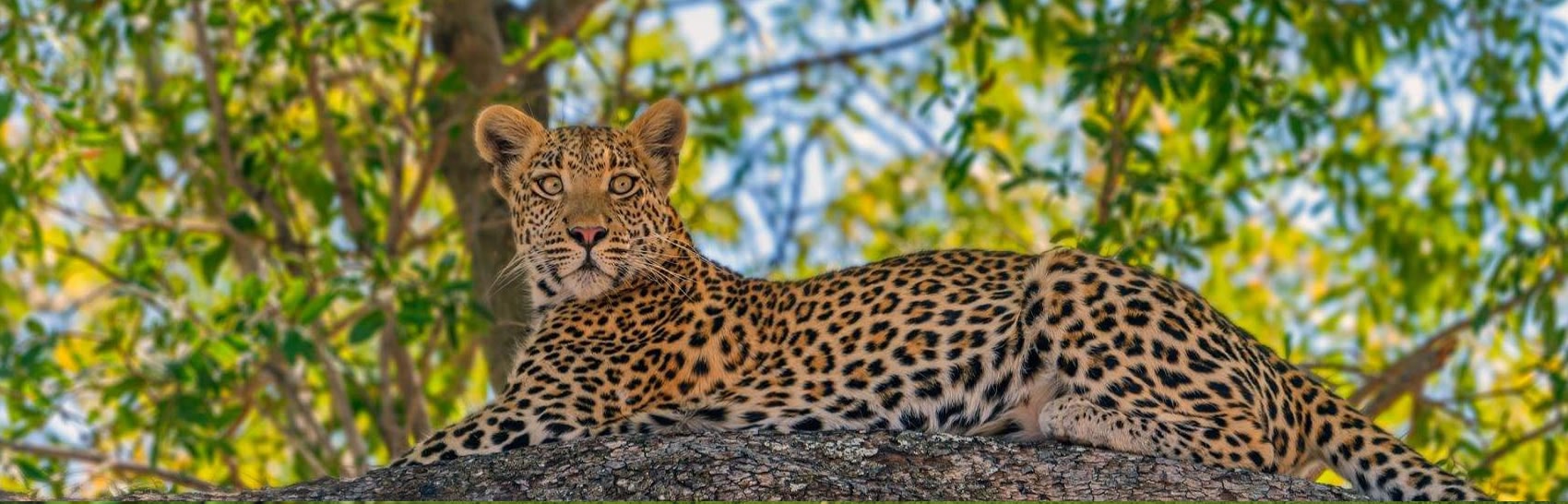 3 Day Lodge Safari Maasai Mara