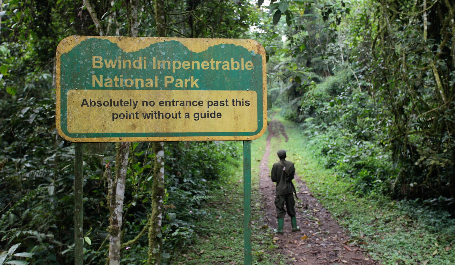 3-Day Climax Gorilla Trekking Mist & Batwa safari