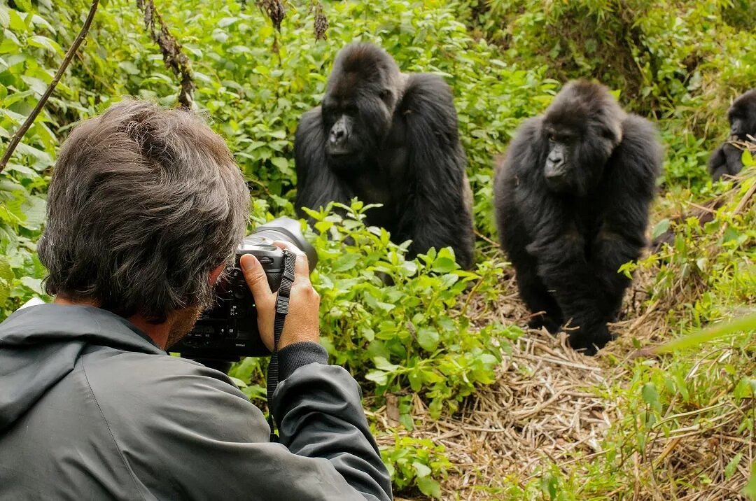 6 Days Rwanda Gorilla & Safari Tour